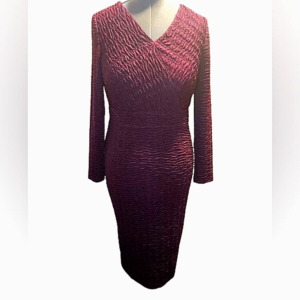 NWT size 8 Terramina,  eggplant colored, long sleeve midi dress. Make offer